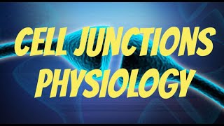 Cell junctions physiology simple detailed diagrams prepare for exams [upl. by Inoek]