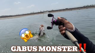 NEKAT MANCING SENDIRIAN‼️DI SAMBAR IKAN GABUS MONSTER JORAN SAMPAI MELENGKUNG TAJAM😱⁉️ [upl. by Riatsila]