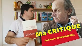 CRITIQUE de Sérotonine de Michel Houellebecq  un échec après Soumission [upl. by Cence]