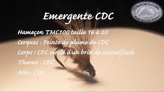 Emergente cdc [upl. by Haidebej]