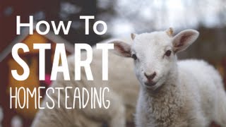 How To Start Homesteading [upl. by Kenaz]