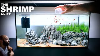 The Shrimp Cliff NEW Shrimp Setup for Neocaridina Aquascape Tutorial [upl. by Nerrak]