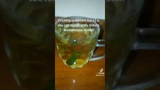 spearmint tea for PCOS spearmint tea for facial hair hormonal acne spearmint tea PCOSpcos [upl. by Riorsson915]