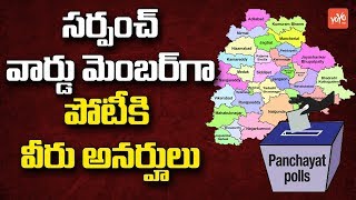 Eligibility Criteria to Contest in Telangana Panchayat Elections 2019  CM KCR  YOYO TV Channel [upl. by Annmaria]