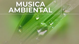 🌿Música Ambiental  Libera El Estrés Y la Ansiedad 🌿 [upl. by Herzen]