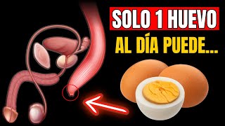 MUCHOS COMEN HUEVOS pero el 90 NO SABE sus EFECTOS en el CUERPO Cocido y Frito [upl. by Karlens]