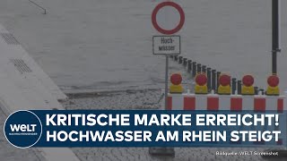 HOCHWASSER Kritische Marke erreicht RheinPegelstand steigt weiter  Schifffahrt eingeschränkt [upl. by Godspeed983]