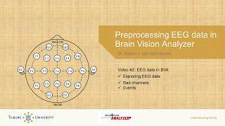 NEUROSCIENCE INTRO EEG preprocessing in Brain Vision Analyzer  Part 2 [upl. by Ahseal893]