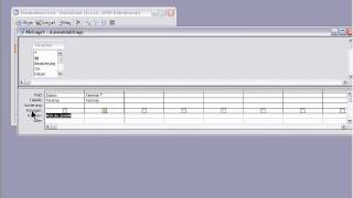 Access Parameter Abfrage erstellen [upl. by Leeda]