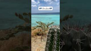 Our favorite beach in Aruba Mangel Halto travel aruba beach traveldestinations [upl. by Norok]