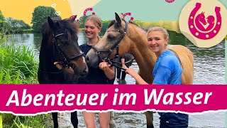 Pferde am See Lia und Lea gehen schwimmen 🐴🥰  Mein Pferdesommer  SWR Plus [upl. by Daley365]