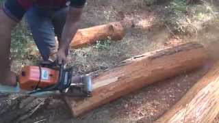 BASEH Kabuk Soyma  BASEH Log Debarker for Chainsaw [upl. by Ardnosal]