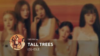 GIDLE  TALL TREES LYRICS [upl. by Josh]