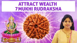 7 Mukhi Rudraksha Benefits  Attract Wealth Abundance amp Luck With Saat Mukhi Rudraksha [upl. by Aytac]