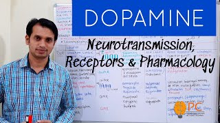 Dopamine Neurotransmission Receptors and Pharmacology  Dopamine Receptor Pharmacology [upl. by Nylatsirk]