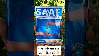 How To Use Saaf Fungicide In Plants 🌱🌿 [upl. by Ellocin328]