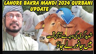 Lahore Bakra mandi l Bakra Mandi update 2024 l Qurbani Janwar rates [upl. by Stromberg]