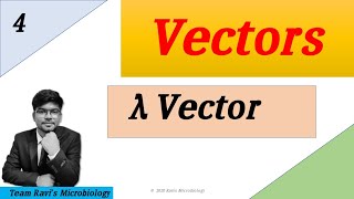 Lambda Phage Vector  Clonning Vectors  Hindi [upl. by Thirzia341]