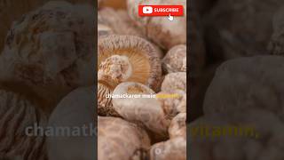 Is dried mushroom good for healthyoutubeshorts mashroom facts shortvideo ytshorts [upl. by Anuat]