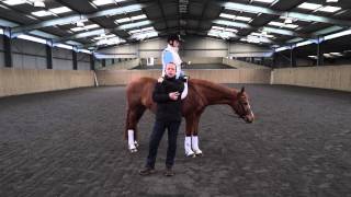 Lesson 3  Rising Trot  Posting Trot [upl. by Anih]