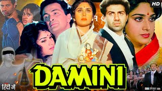 Damini Full Movie Hindi Review amp Facts  Meenakshi Seshadri  Sunny Deol  Rishi Kapoor Amrish Puri [upl. by Einaoj]