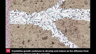 Xypex Concrete Waterproofing by Crystallization Animation [upl. by Lolita608]