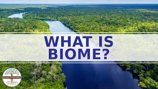 WHAT IS A BIOME  Enviromental Science  CATEGORIES OF BIOMES [upl. by Aronson]