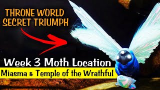 Destiny 2  Lepidopterist Triumph  Week 3 Lucent Moth Locations [upl. by Neehsas]