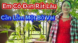 302Em Mơ Ước Tìm Được Người Chồng Chung Thủy Giàu Nghèo Em Không Quan Trọng [upl. by Eniala189]