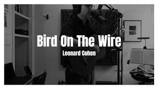 Bird On The Wire  Leonard Cohen Cover [upl. by Brindell253]