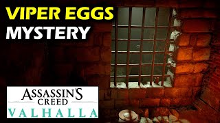 Mystery in Ledecestre Viper Eggs location  Ledecestrescire Mysteries  Assassins Creed Valhalla [upl. by Trautman849]