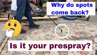 How much to prespray when carpet cleaning [upl. by Athey]