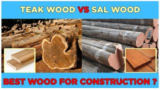 Sal wood versus teak wood difference घर की चौखट और दरवाजे में कहाँ पर इनको इस्तेमाल करना चाहिए [upl. by Anahc]