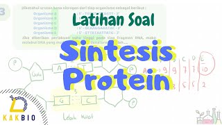 Sintesis Protein  Latihan Soal [upl. by Ann570]