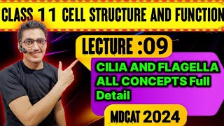 CLASS 11  CELL STRUCTURE AND FUNCTION  LEC9  CILIA AND FLAGELLA All concepts mdcat2024 [upl. by As395]