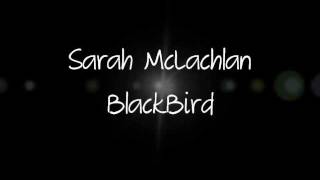 Blackbird Sarah McLachlan  Lyrics [upl. by Rayham]