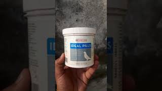 VERSELELAGA PRODUCT IDEAL PILLS FOR PIGEONS pigeon idealpills verselelaga youtubevideo [upl. by Radack]