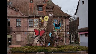 UN REGARD VERS BERGHEIM [upl. by Felise851]