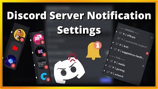 Discord Server Notification Settings [upl. by Lachish]