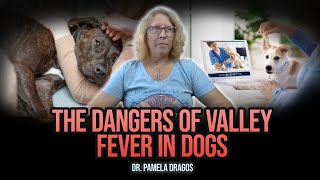 How We Beat Valley Fever in Dogs Holistic Telemedicine  Dr Pamela Dragos [upl. by Anigroeg654]