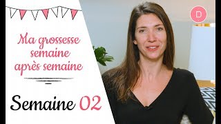 2ème semaine de grossesse – Le test de grossesse [upl. by Kama]