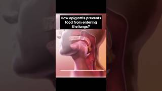 How epiglottitis help us  shorts epiglottitis [upl. by Erena]