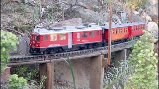 RhB Railcar  in an Australian Garden [upl. by Braynard]