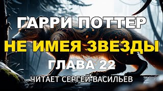 Не имея звезды  Глава 22 аудиокнига Васильев С [upl. by Fairman]