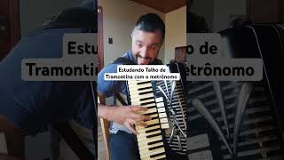 estudando Talho de Tramontina com o metrônomo acordeon gaita gaiteiro musica sanfona [upl. by Ree]