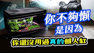 神體驗：開箱悠合生態缸！號稱半年不用換水的魚缸！Harmony Aquarium Unpacking Not need to change water for half a year [upl. by Devonna]