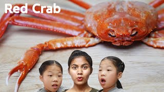 살이 꽉찬 홍게 Red Crab TwinRoozi Family Mukbang 쌍둥이루지 가족 먹방 [upl. by Folger850]