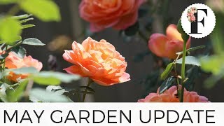 Garden Update Tour May 2018  Gardening for Beginners Growing Flowers from Seed Cut Flower Farm Tips [upl. by Dlorej488]