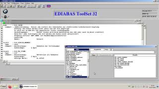 tool32 BMW elv cas counter reset  ohne zündung  without ignition  ediabas  inpa  keine zündung [upl. by Sellma]