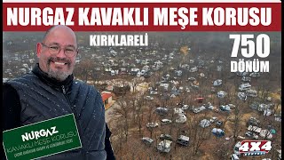 Karavan Kamp Alanları 2 Nurgaz Kavaklı Meşe Korusu [upl. by Baler]